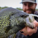 Catch More and Bigger Spring Panfish